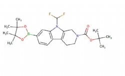 tert-butyl 9-(difluoromethyl)-7-(4,4,5,5-tetramethyl-1,3,2-dioxaborolan-2-yl)-1,3,4,9-tetrahydro-2H-pyrido[3,4-b]indole-2-carboxylate