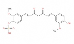 4-((1E,6E)-7-(4-hydroxy-3-methoxyphenyl)-3,5-dioxohepta-1,6-dien-1-yl)-2-methoxyphenyl hydrogen sulfate