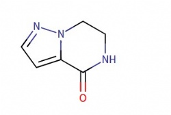 4H,5H,6H,7H-pyrazolo(1,5-a)pyrazin-4-one