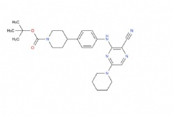 tert-butyl 4-(4-((3-cyano-6-(piperidin-1-yl)pyrazin-2-yl)amino)phenyl)piperidine-1-carboxylate