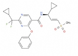(S,E)-N-(1-cyclopropyl-3-(methylsulfonyl)allyl)-2-(cyclopropyldifluoromethyl)-4-phenoxypyrimidine-5-carboxamide