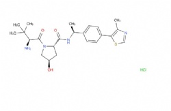 (2S,4R)-1-((S)-2-amino-3,3-dimethylbutanoyl)-4-hydroxy-N-((S)-1-(4-(4-methylthiazol-5-yl)phenyl)ethyl)pyrrolidine-2-carboxamide hydrochloride