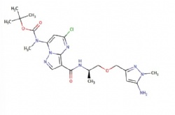 tert-butyl (R)-(3-((1-((5-amino-1-methyl-1H-pyrazol-3-yl)methoxy)propan-2-yl)carbamoyl)-5-chloropyrazolo[1,5-a]pyrimidin-7-yl)(methyl)carbamate
