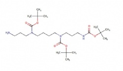 tert-butyl (3-aminopropyl)(4-((tert-butoxycarbonyl)(3-((tert-butoxycarbonyl)amino)propyl)amino)butyl)carbamate