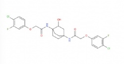 N,N'-(2-hydroxybicyclo[2.2.2]octane-1,4-diyl)bis(2-(4-chloro-3-fluorophenoxy)acetamide)