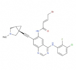 (E)-4-bromo-N-(4-((3-chloro-2-fluorophenyl)amino)-7-(((1S,5R)-3-methyl-3-azabicyclo[3.1.0]hexan-1-yl)ethynyl)quinazolin-6-yl)but-2-enamide