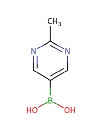 2-Methylpyrimidine-5-boronic acid