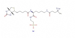 sodium 2-((S)-6-(3-(3-methyl-3H-diazirin-3-yl)propanamido)-2-(5-((3aR,4R,6aS)-2-oxohexahydro-1H-thieno[3,4-d]imidazol-4-yl)pentanamido)hexanamido)ethane-1-sulfonate