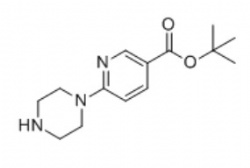 tert-butyl 6-(piperazin-1-yl)nicotinate