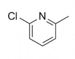 6-Chloro-2-picoline
