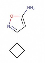 3-Cyclobutyl-1,2-oxazol-5-amine