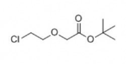 tert-butyl 2-(2-chloroethoxy)acetate