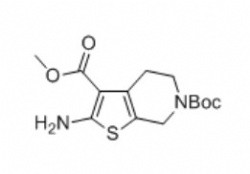 6-(tert-butyl) 3-methyl 2-amino-4,7-dihydrothieno[2,3-c]pyridine-3,6(5H)-dicarboxylate
