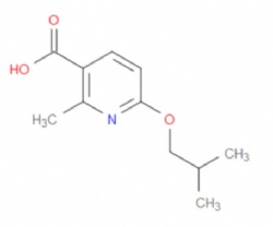 6-isobutoxy-2-methylnicotinic acid