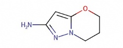 6,7-dihydro-5H-pyrazolo[5,1-b][1,3]oxazin-2-amine