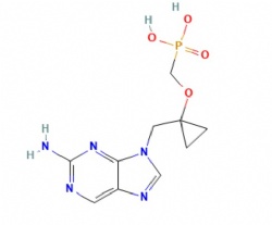 [1-[(2-aminopurin-9-yl)methyl]cyclopropyl]oxymethylphosphonic acid