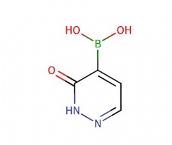 (3-Oxo-2,3-dihydropyridazin-4-yl)boronic acid