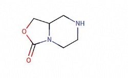 Hexahydro-oxazolo[3,4-a]pyrazin-3-one