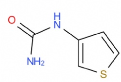 N-3-thienylurea