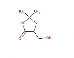 3-(Hydroxymethyl)-5,5-dimethylpyrrolidin-2-one