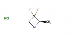 (2R)-3,3-difluoro-2-methyl-azetidine hydrochloride