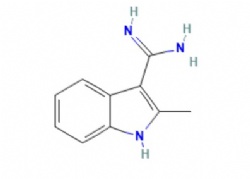 2-methyl-1H-indole-3-carboximidamide
