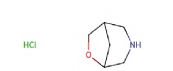 6-Oxa-3-azabicyclo(3.2.1)octane hydrochloride