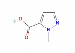 1-methyl-1H-pyrazole-5-carboxylic acid