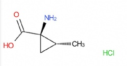 (1R,2R)-1-amino-2-methylcyclopropane-1-carboxylic acid