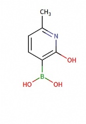 2-Hydroxy-6-methylpyridine-3-boronic Acid