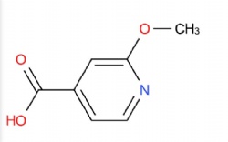 2-Methoxyisonicotinic Acid