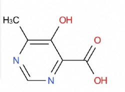 5-Hydroxy-6-methyl-pyrimidine-4-carboxylic acid