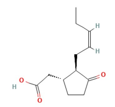 (-)-JASMONIC ACID