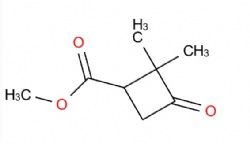 Methyl 2,2-dimethyl-3-oxocyclobutane-1-carboxylate