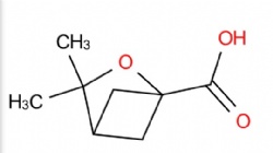 3,3-Dimethyl-2-oxabicyclo[2.1.1]hexane-1-carboxylic acid