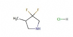 3,3-Difluoro-4-methylpyrrolidine hydrochloride