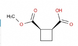 rel-(1R,2S)-2-(methoxycarbonyl)cyclobutane-1-carboxylic acid