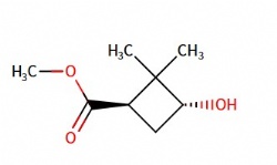 trans-Methyl 2,2-dimethyl-3-hydroxy-cyclobutanecarboxylate