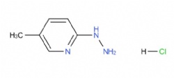 2-Hydrazinyl-5-methylpyridine hydrochloride