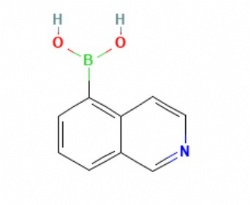 Isoquinoline-5-boronic acid