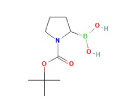 1-N-Boc-pyrrolidin-2-ylboronic acid