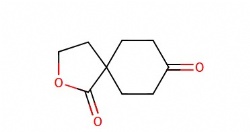 2-Oxaspiro(4.5)decane-1,8-dione