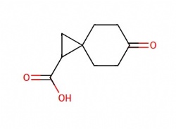 6-Oxospiro[2.5]octane-1-carboxylic acid