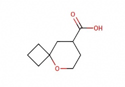 5-Oxaspiro[3.5]nonane-8-carboxylic acid