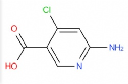 6-Amino-4-chloronicotinic acid