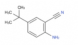 2-amino-5-(tert-butyl)benzonitrile