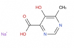 sodium 5-hydroxy-6-methylpyrimidine-4-carboxylate