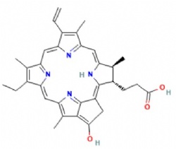 Pyropheophorbide A
