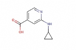 2-(cyclopropylamino)isonicotinic acid