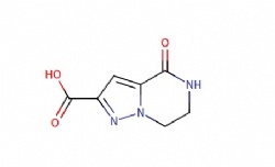 4-Oxo-4,5,6,7-tetrahydropyrazolo[1,5-a]pyrazine-2-carboxylic acid